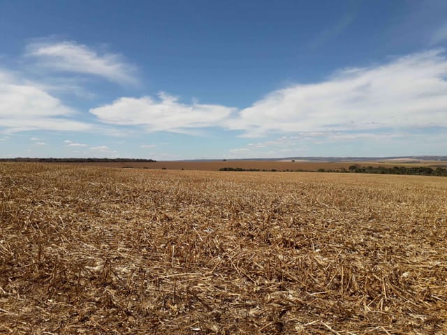 Fazenda com 14520000m², à venda, no bairro Zona Rural em Paraúna