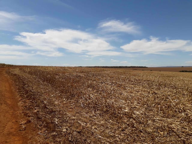 Fazenda com 14520000m², à venda, no bairro Zona Rural em Paraúna