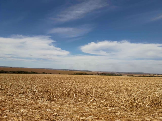 Fazenda com 14520000m², à venda, no bairro Zona Rural em Paraúna
