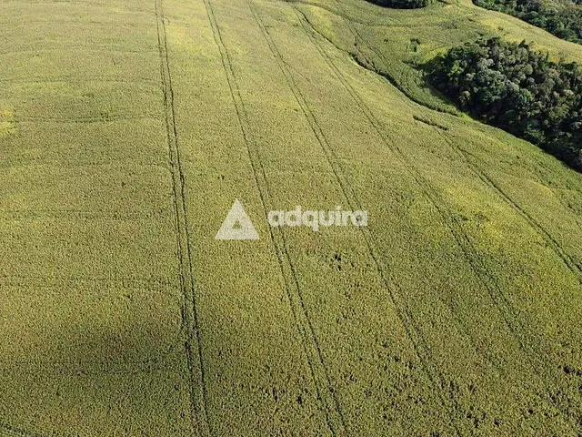 Fazenda à venda, no bairro Centro em Castro