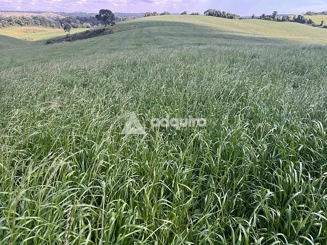 Fazenda à venda, no bairro Centro em Castro