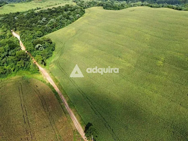 Fazenda à venda, no bairro Centro em Castro