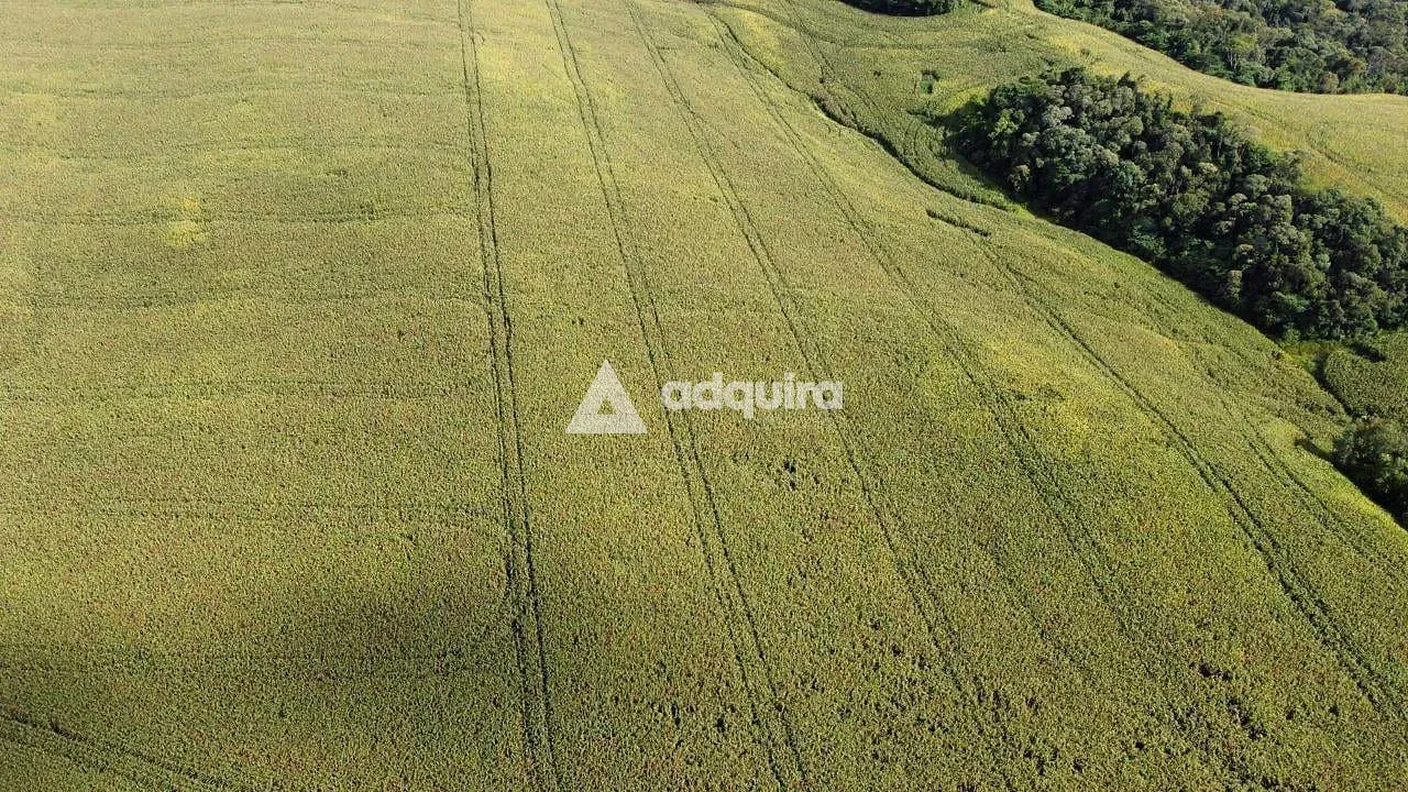 Fazenda, 10 m² - Foto 2