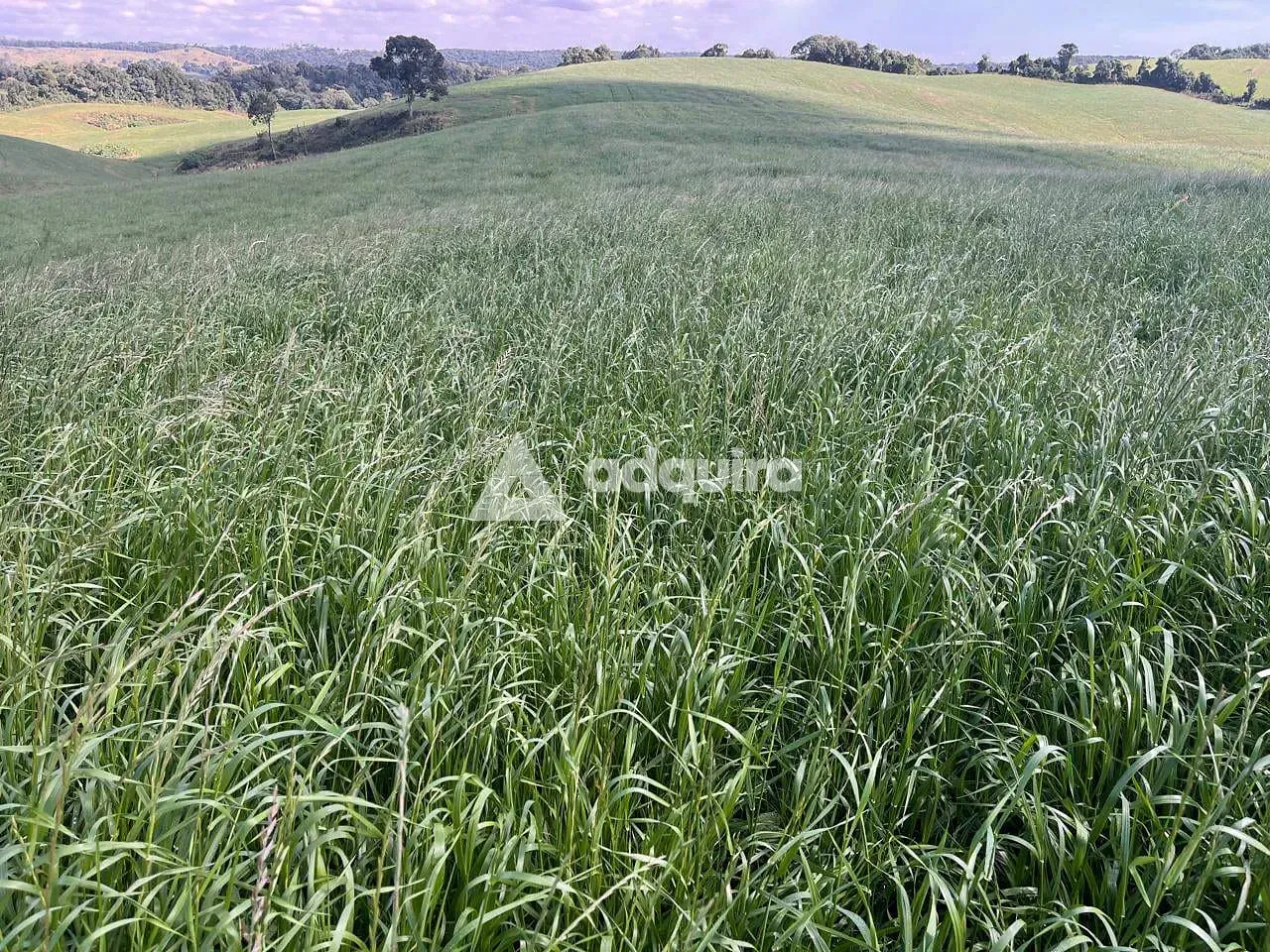 Fazenda, 10 m² - Foto 5