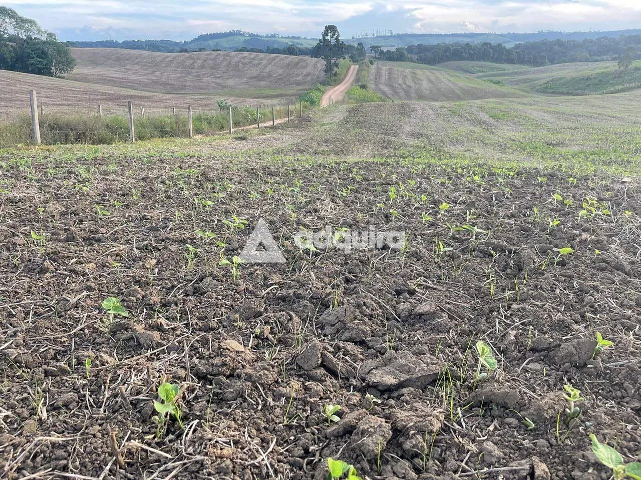 Fazenda, 10 m² - Foto 6