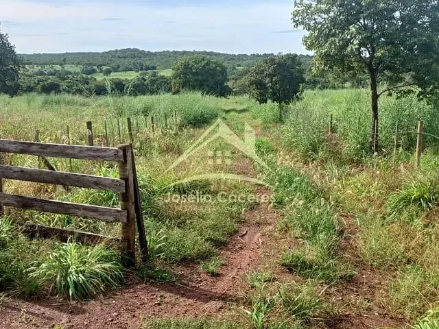 Fazenda com 460000m² 3 quartos e 1 banheiro, à venda, no bairro rural em Várzea Grande