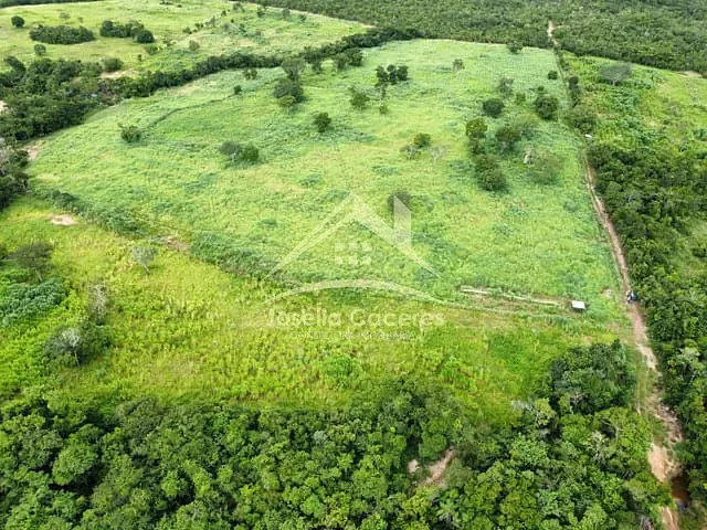 Fazenda com 460000m² 3 quartos e 1 banheiro, à venda, no bairro rural em Várzea Grande