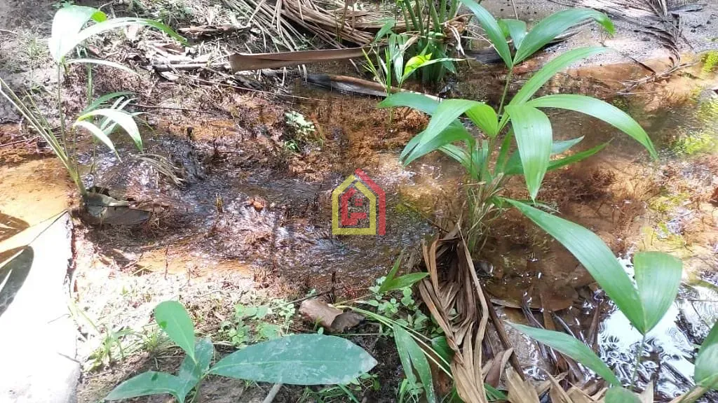 Rural à venda com 445280m² de terreno no Marabá Pioneira, Marabá (PA) — foto 13 de 18