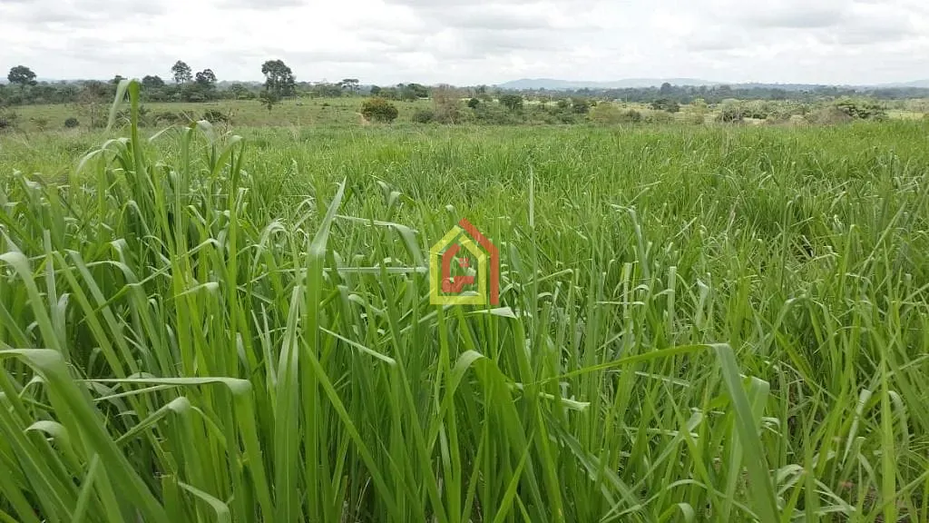 Rural à venda com 445280m² de terreno no Marabá Pioneira, Marabá (PA) — foto 8 de 18