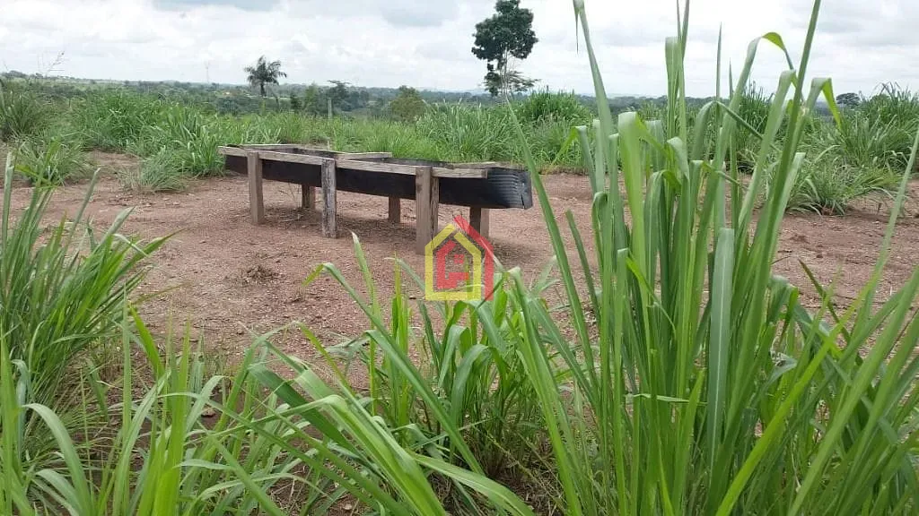 Rural à venda com 445280m² de terreno no Marabá Pioneira, Marabá (PA) — foto 16 de 18