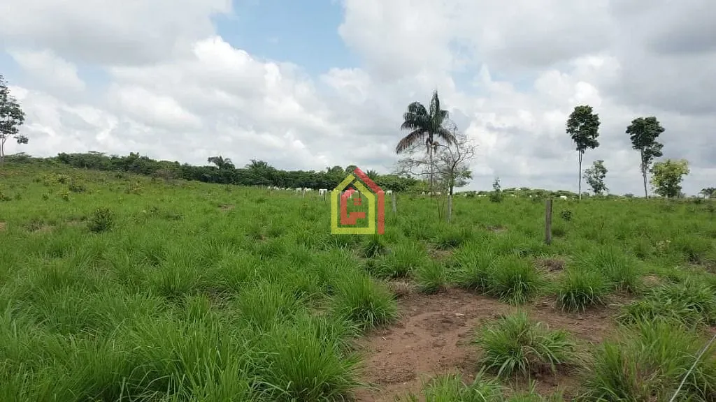 Rural à venda com 445280m² de terreno no Marabá Pioneira, Marabá (PA) — foto 5 de 18