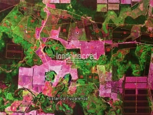 Fazenda à venda, no bairro PR em Foz do Iguaçu