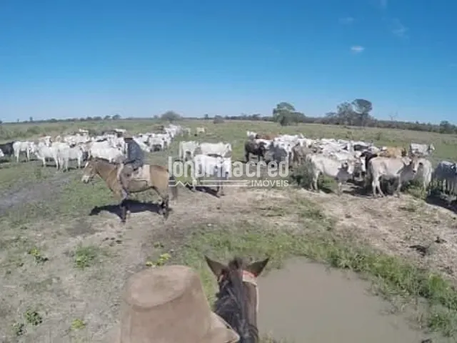 Fazenda à venda, no bairro PR em Foz do Iguaçu