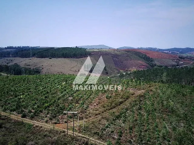 Fazenda com 776500m², à venda, no bairro Zona Rural em Caraí