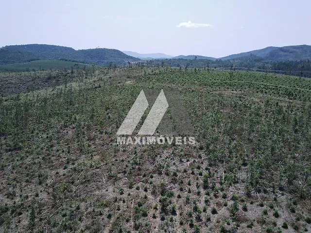 Fazenda com 776500m², à venda, no bairro Zona Rural em Caraí