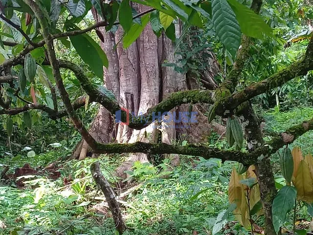 Fazenda com 515000m² 2 quartos e 2 banheiros, à venda, no bairro Centro em Una