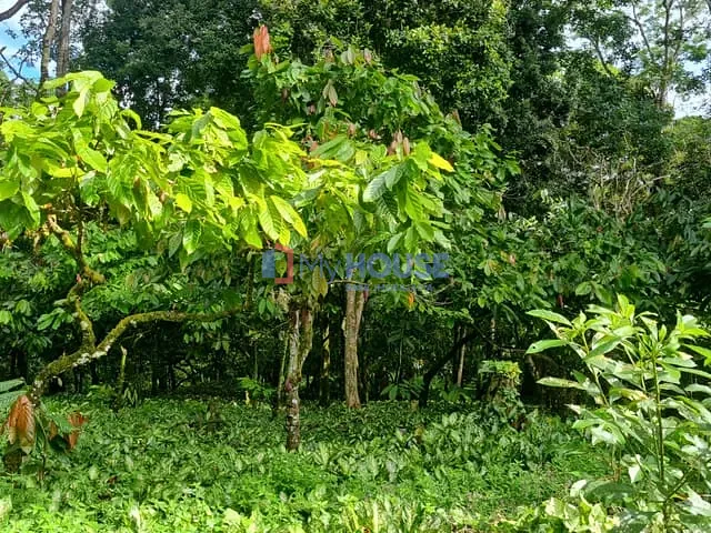 Fazenda com 515000m² 2 quartos e 2 banheiros, à venda, no bairro Centro em Una