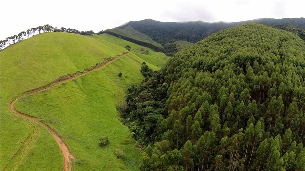 Rural / Chácara no Taquaral — foto 11