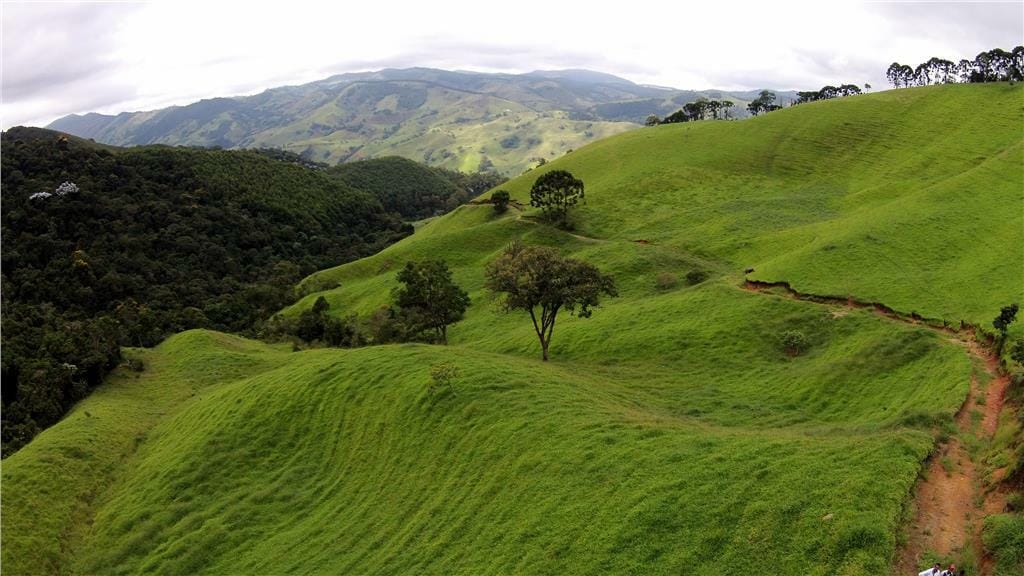 Rural / Chácara no Taquaral — foto 8