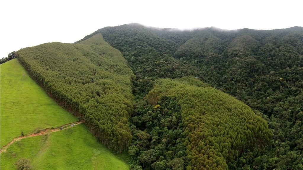Rural / Chácara no Taquaral — foto 5