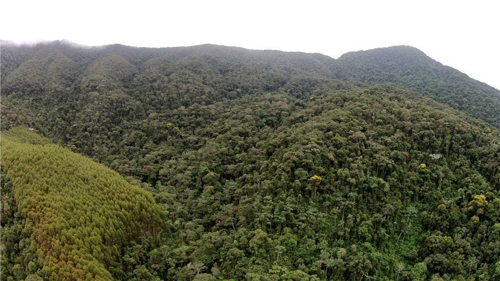 Rural / Chácara no Taquaral — foto 6