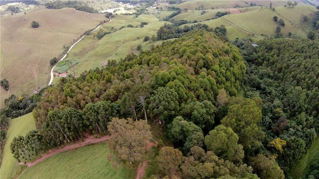 Rural / Chácara no Taquaral — foto 22