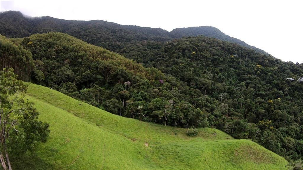 Rural / Chácara no Taquaral — foto 10