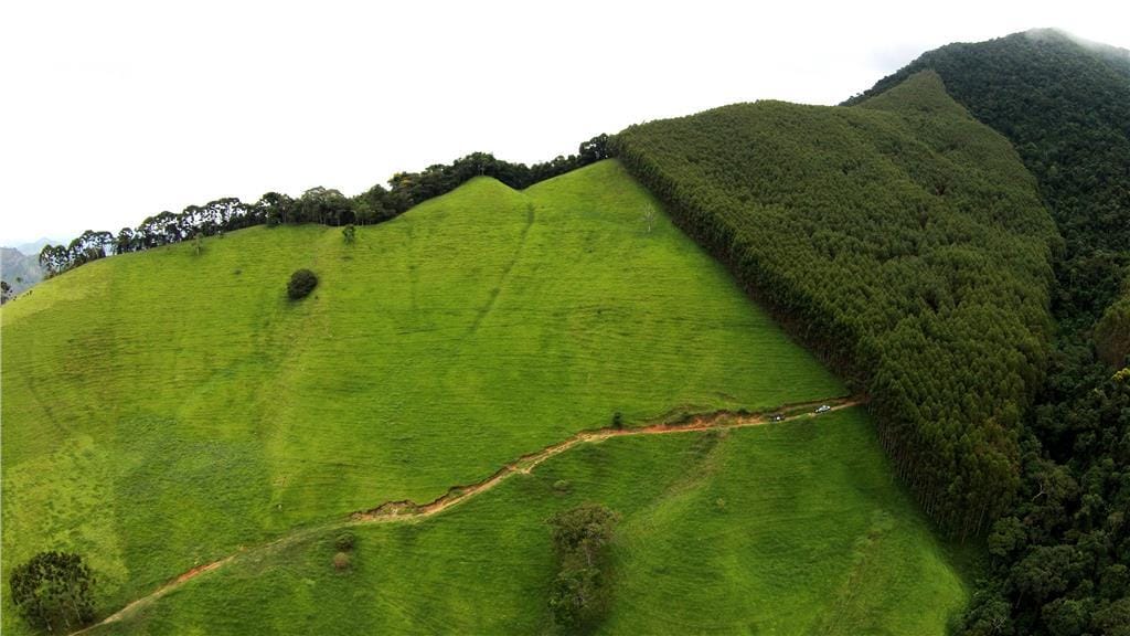 Rural / Chácara no Taquaral — foto 4
