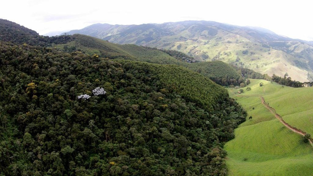Rural / Chácara no Taquaral — foto 2