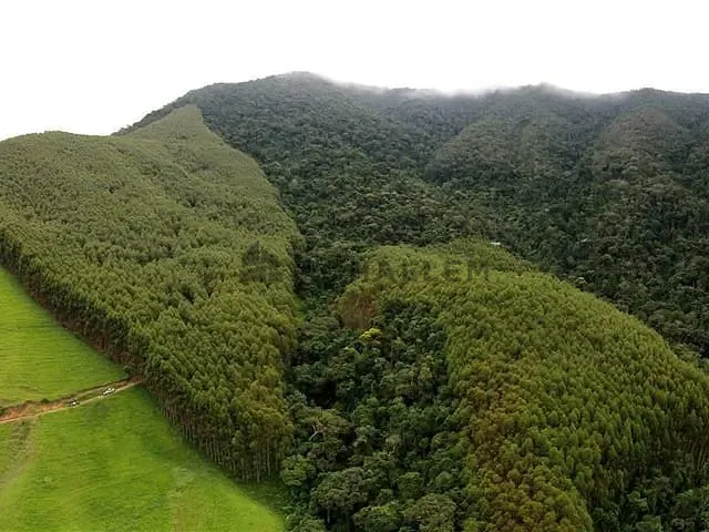 Fazenda com 3030000m² 4 quartos e 4 banheiros, à venda, no bairro Taquaral em Pouso Alegre