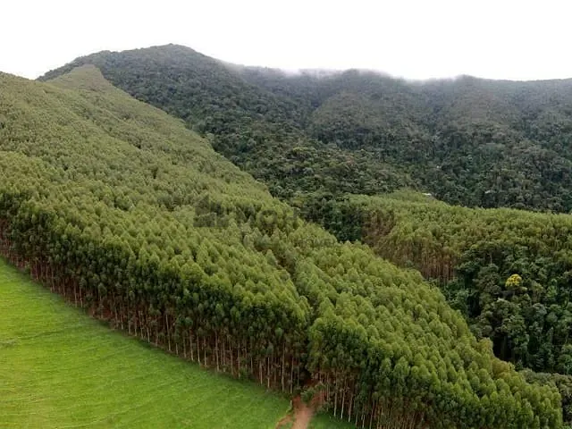 Fazenda com 3030000m² 4 quartos e 4 banheiros, à venda, no bairro Taquaral em Pouso Alegre