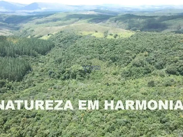 Fazenda com 2050000m² 1 quarto e 1 banheiro, à venda, no bairro Zona Rural em São Sebastião do Paraíso