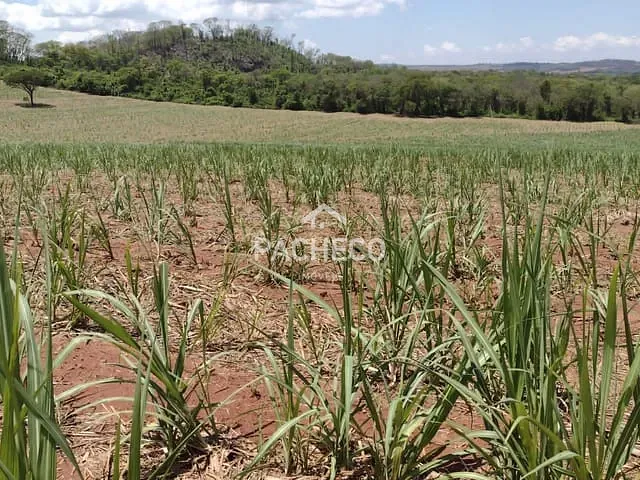 Fazenda com 1234200m², à venda, no bairro Parque Industria em Ribeirão Preto