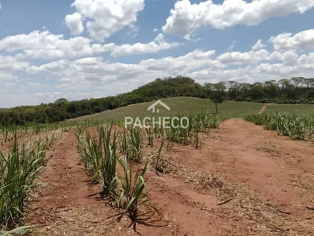 Fazenda com 1234200m², à venda, no bairro Parque Industria em Ribeirão Preto