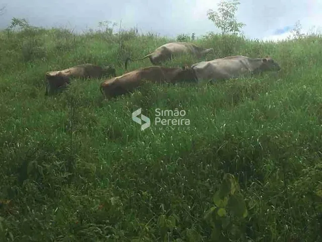 Fazenda com 705500m² 7 quartos e 4 banheiros, à venda, no bairro Zona Rural em Mar de Espanha