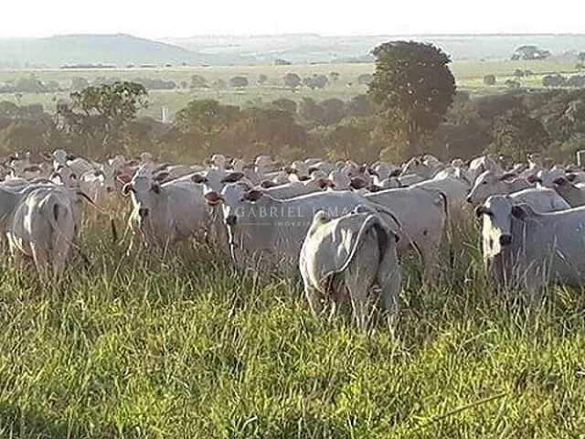 Fazenda com 305000000m² 10 quartos e 10 banheiros, à venda, no bairro Centro em Petrolina