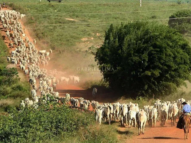 Fazenda com 305000000m² 10 quartos e 10 banheiros, à venda, no bairro Centro em Petrolina