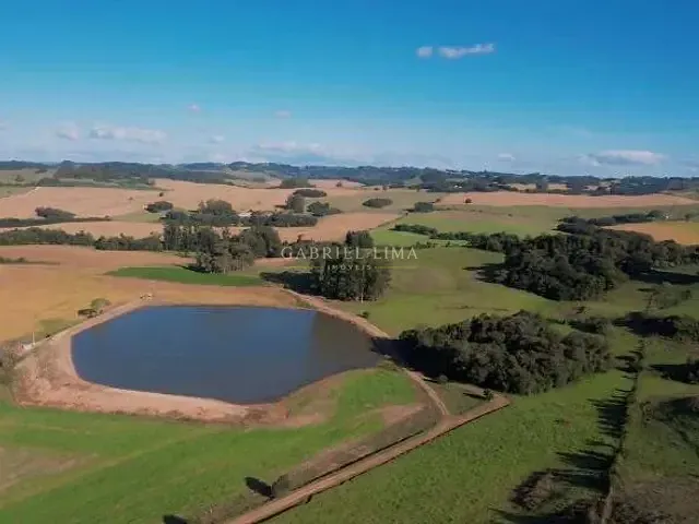 Fazenda com 305000000m² 10 quartos e 10 banheiros, à venda, no bairro Centro em Petrolina