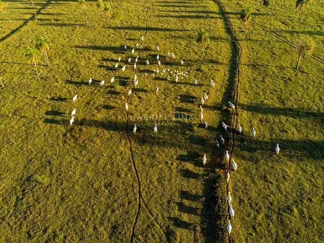 Fazenda com 305000000m² 10 quartos e 10 banheiros, à venda, no bairro Centro em Petrolina