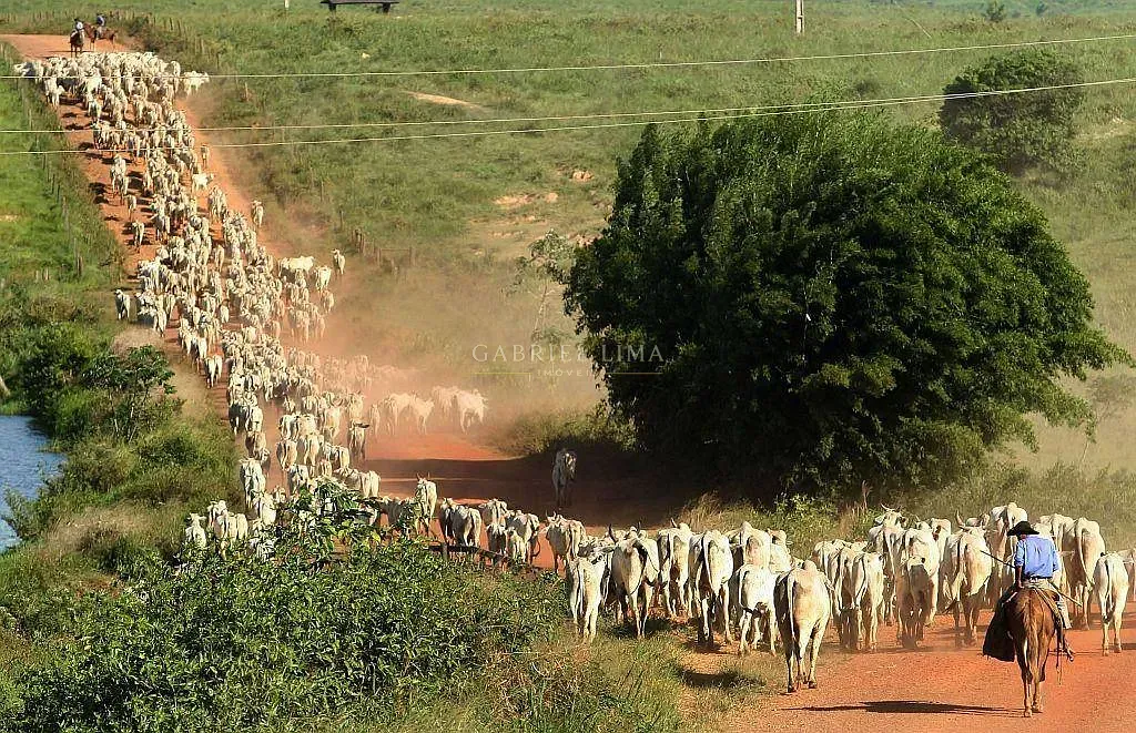 Fazenda, 30500 hectares - Foto 2