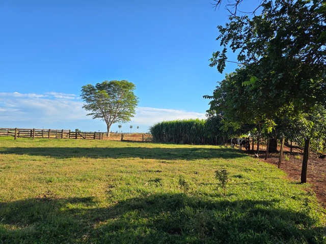 Foto do Fazenda - Fazenda à venda em Acreúna – 63 alqueires, 35 em lavoura há 18 anos, restante em pasto, arrendada e produtiva. Sede completa, próxima à BR-060. | ApêHouse | Imobi