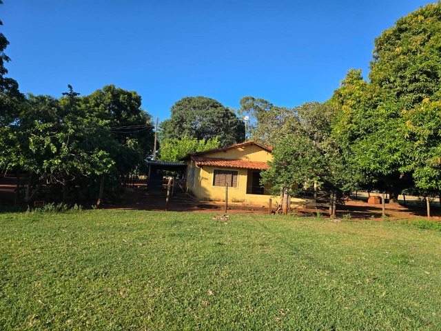Foto do Fazenda - Fazenda à venda em Acreúna – 63 alqueires, 35 em lavoura há 18 anos, restante em pasto, arrendada e produtiva. Sede completa, próxima à BR-060. | ApêHouse | Imobi