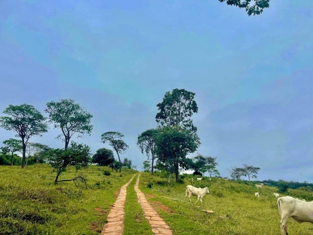 Fazenda com 8330000m² 4 quartos e 4 banheiros, à venda, no bairro RURAL em Diamantina