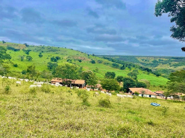 Fazenda com 8330000m² 4 quartos e 4 banheiros, à venda, no bairro RURAL em Diamantina