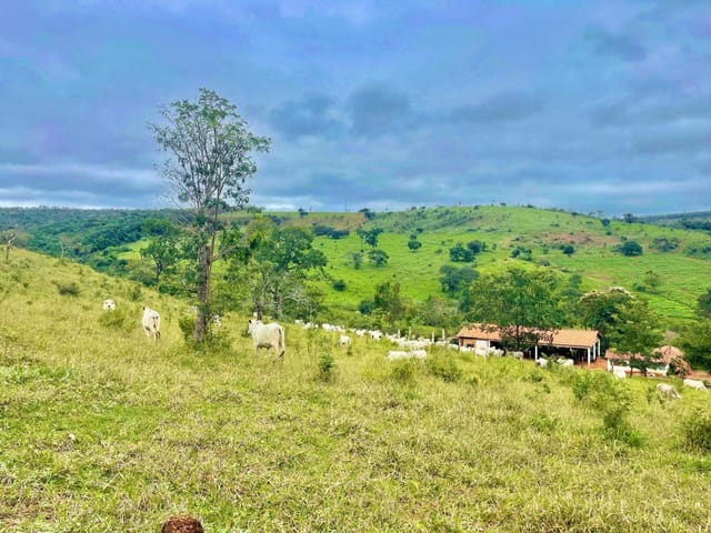 Fazenda com 8330000m² 4 quartos e 4 banheiros, à venda, no bairro RURAL em Diamantina