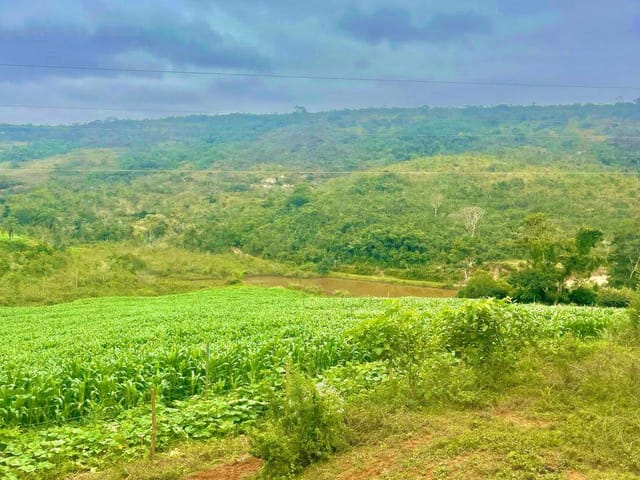 Fazenda com 8330000m² 4 quartos e 4 banheiros, à venda, no bairro RURAL em Diamantina