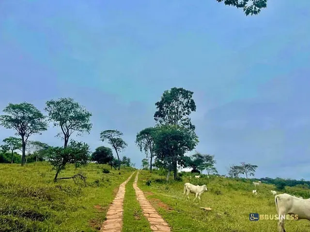 Fazenda com 8330000m² 4 quartos e 4 banheiros, à venda, no bairro RURAL em Diamantina