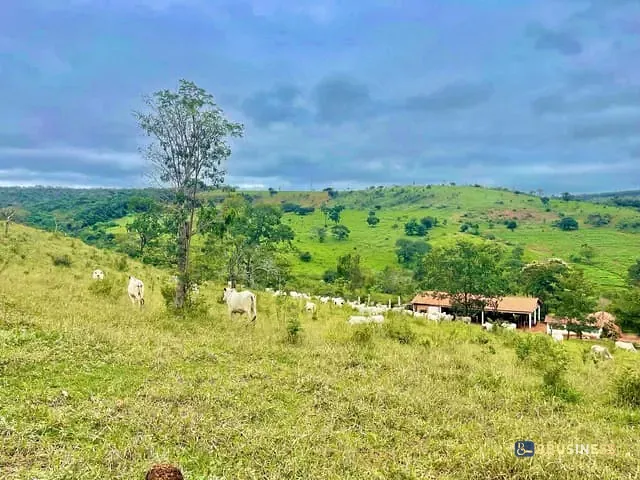 Fazenda com 8330000m² 4 quartos e 4 banheiros, à venda, no bairro RURAL em Diamantina
