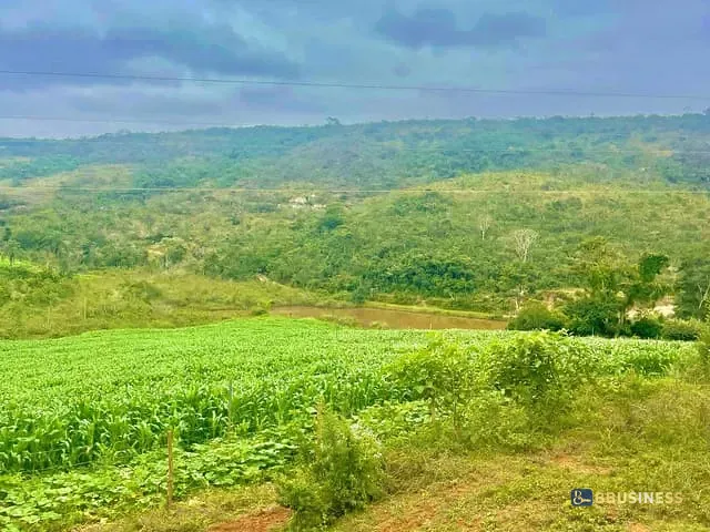 Fazenda com 8330000m² 4 quartos e 4 banheiros, à venda, no bairro RURAL em Diamantina