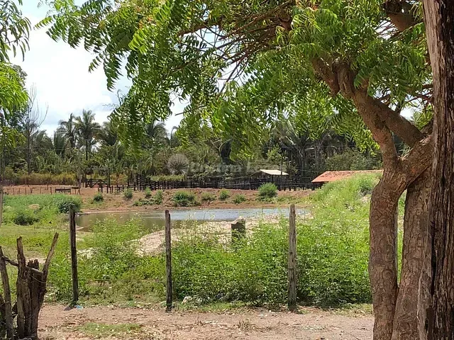 Fazenda com 330000m² 2 quartos e 2 banheiros, à venda, no bairro Zona Rural em Alto Alegre do Maranhão